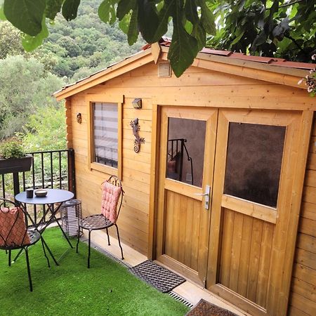 Loue Chalet De 11M2 Auribeau-sur-Siagne 외부 사진